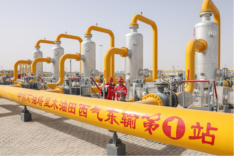 Z6·人生就是博(中国区)官方网站